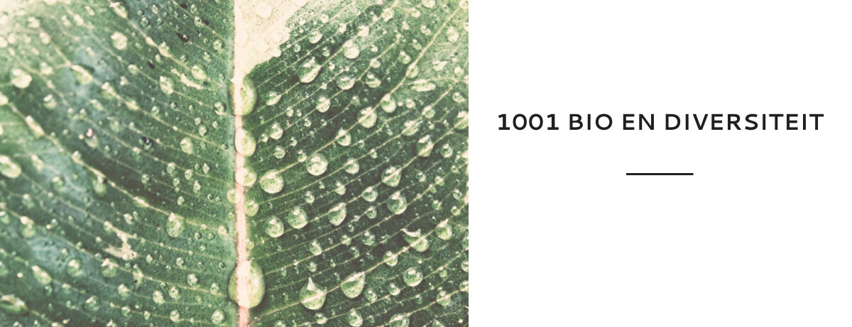 1001 voor Bio en Diversiteit website preview